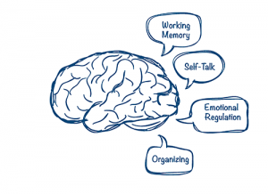 Adhd Executive Function Age Chart