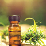 Dec2018-CBD_Oil