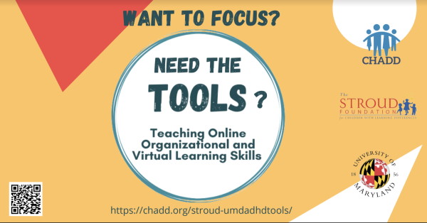 Teaching Online Organizational and Virtual Learning Skills (TOOLS)