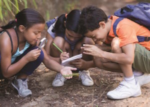 Summer Camp as a Growth Experience for Your Child