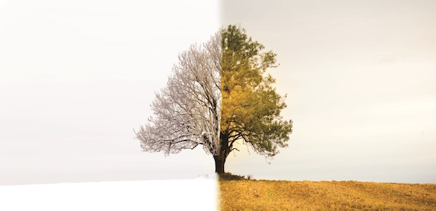 Are the Gift's of ADHD a Mirage Are the Gift's of ADHD a Mirage