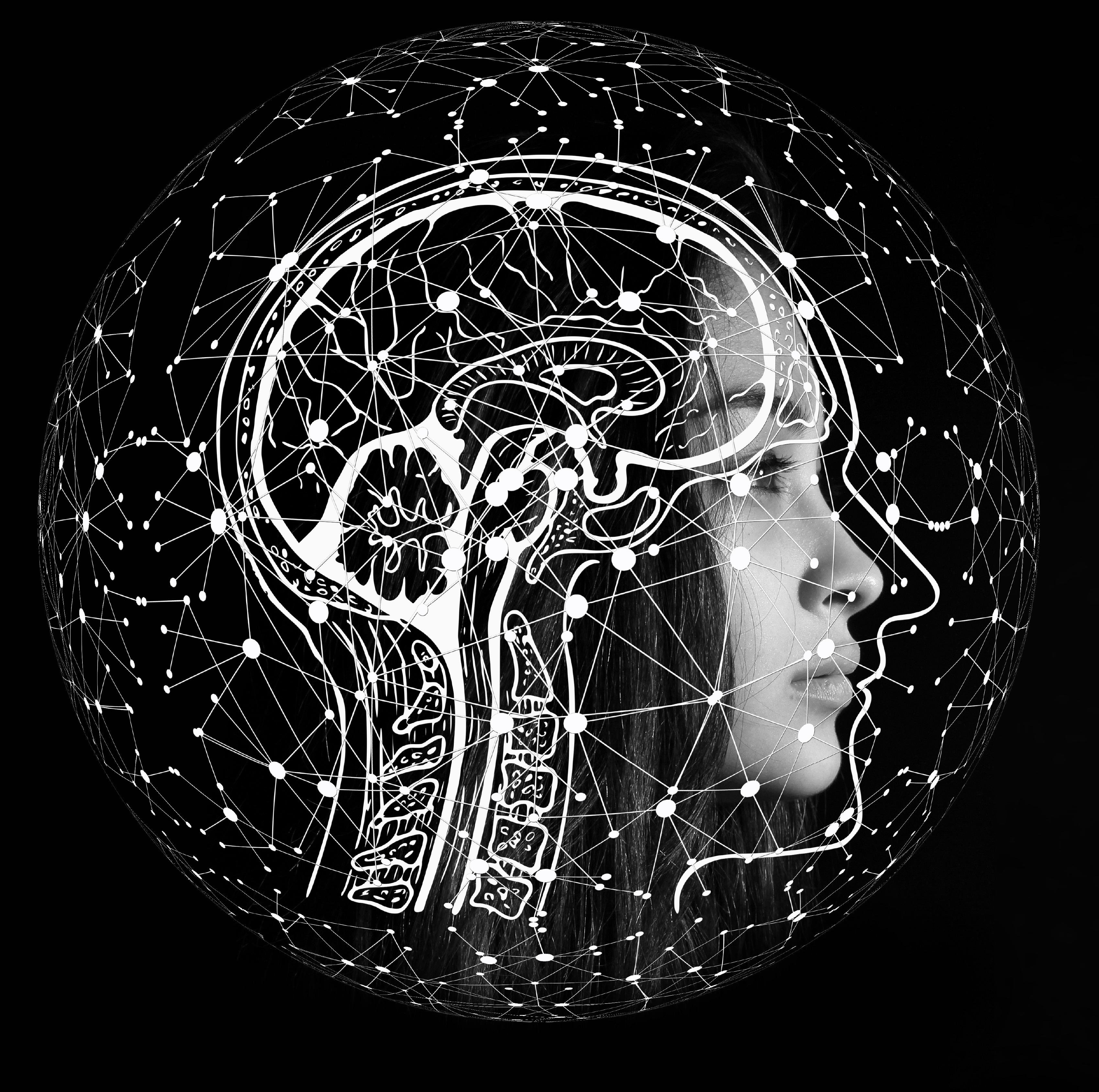 video games brains training 3 video games brains training 3