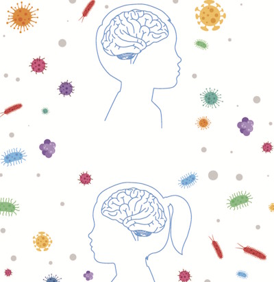 ADHD and the Inflammatory Pathway